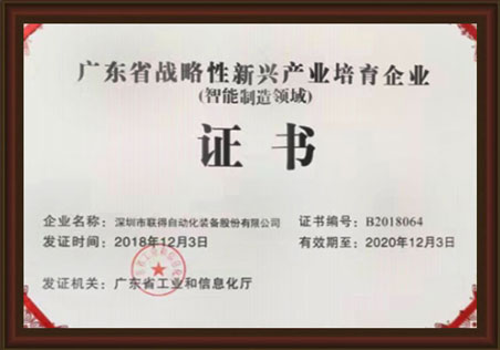 广东省战术性新兴产品造就企业证书