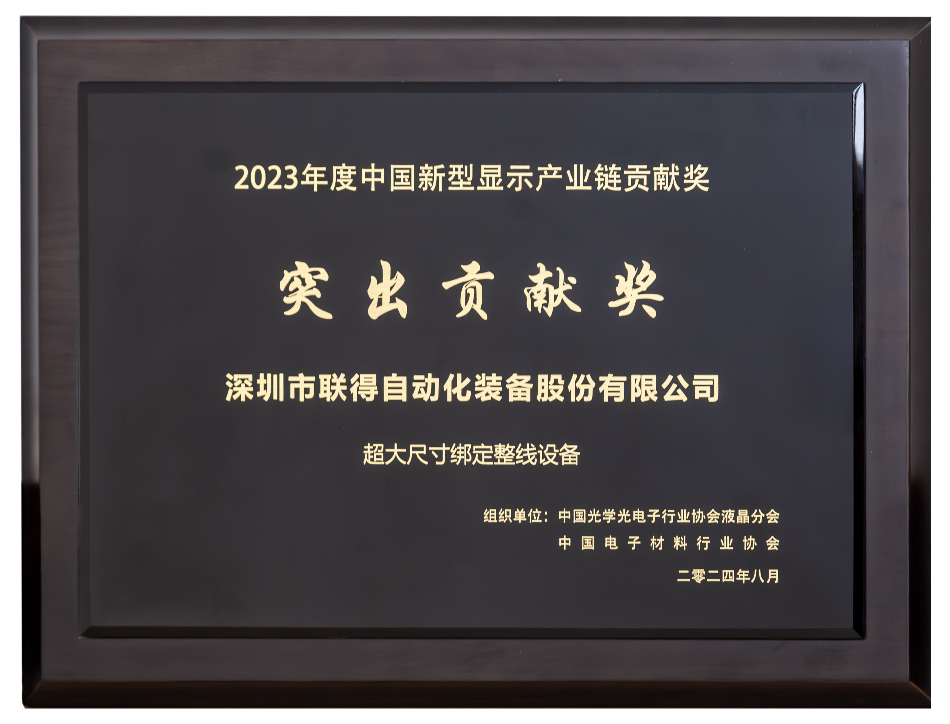 中国新型显示产业链贡献奖-凸起贡献奖.png